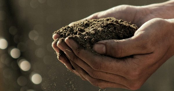Two hands holding some garden soil