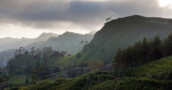 st-helena-dfid.jpg